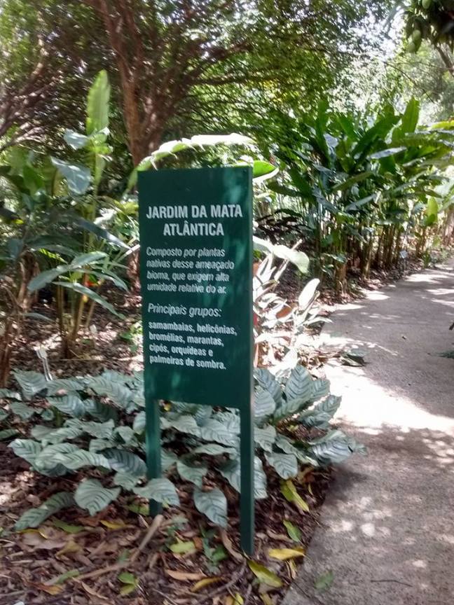 Jardim Botânico Nova Odessa-SP
