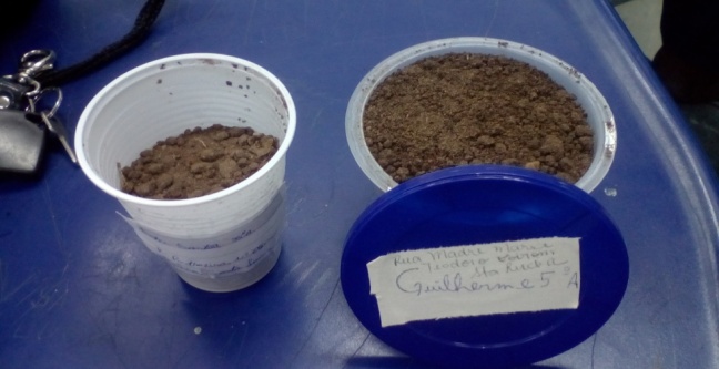 projeto alameda amostra de solos